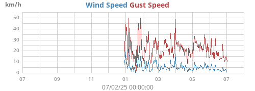 yearwind