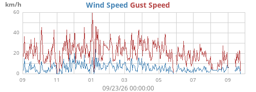 yearwind