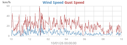 yearwind